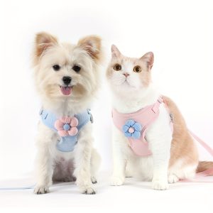 2pcs Daisy Embroidered Lace Dog Harness and Leash Set