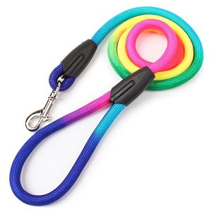 No-Pull Pet Harness and Leash Set for Small and Medium Dogs and Cats - Ideal for Outdoor Walking and Training - Colorful Design