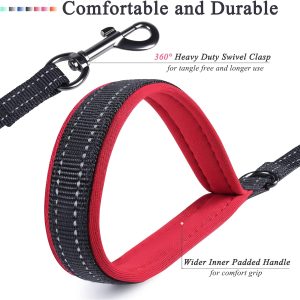 Durable Double-Handled Nylon Dog Leash for Effective Training and Comfortable Walks