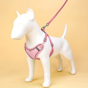 No-Pull Reflective Dog Harness and Leash Set for Small Dogs - Comfortable and Safe Walking Experience