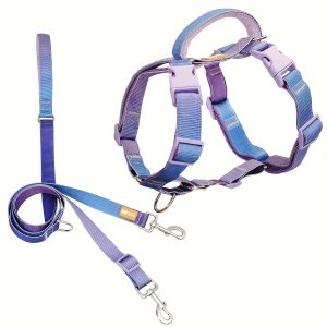 DF No Pull Martingale Heavy Duty Dog Harness & Adjustable Leash Set, Escape-Proof Fully Customizable Fit Harness With Front Clip & Soft Padding Handle, Chest 28