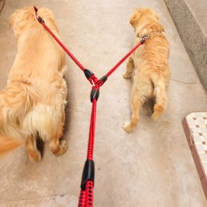 Double Dog Leash, No-Tangle, Durable, High-Quality