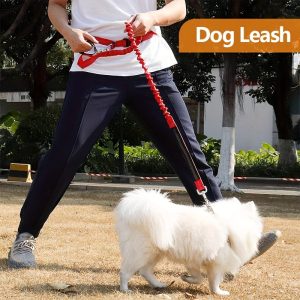 Reflective Double-Headed Nylon Dog Leash, Hands-Free Retractable